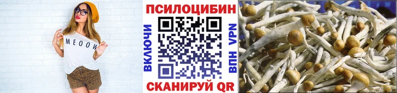 Псилоцибиновые грибы мицелий  Чегем 